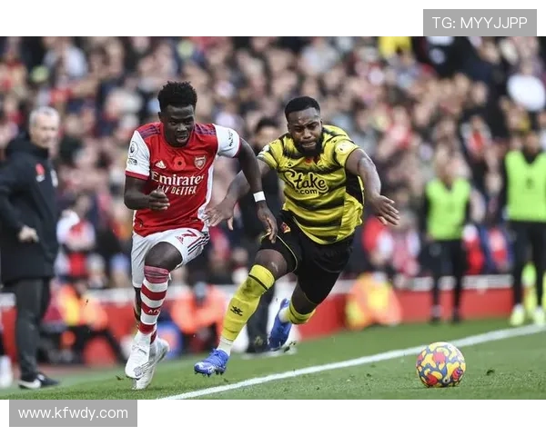 沃特福德足球俱乐部历史成就与未来发展潜力分析 沃特福德足球俱乐部历史成就与未来发展潜力分析