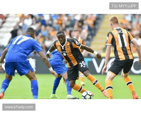 赫尔城俱乐部崛起之路探秘英国足球小城的荣耀与坚持